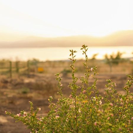 فندق Sky Glamping Boutique ماشوف راموت المظهر الخارجي الصورة